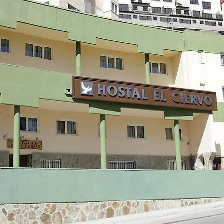 ゲストハウス El Ciervo