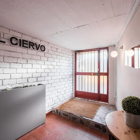 Guest house El Ciervo 2*
