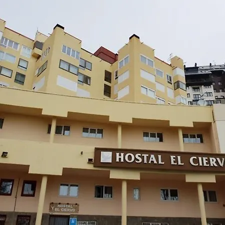 Guest house El Ciervo Sierra Nevada