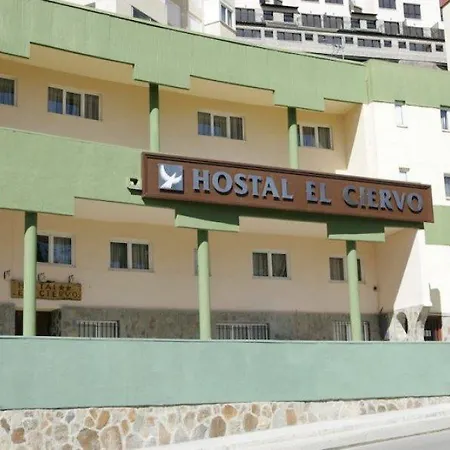 El Ciervo Casa de hóspedes 2*